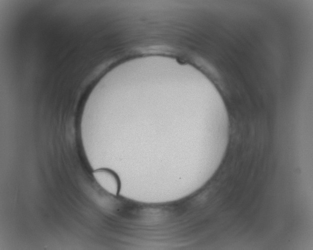 X0000081370298200702082353