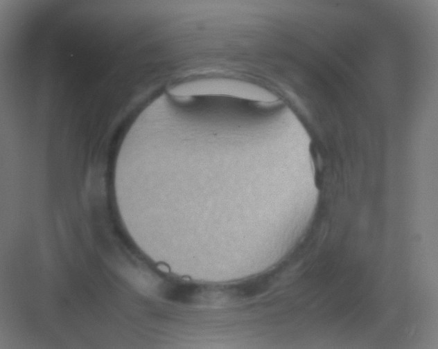 X0000081370299200702082353