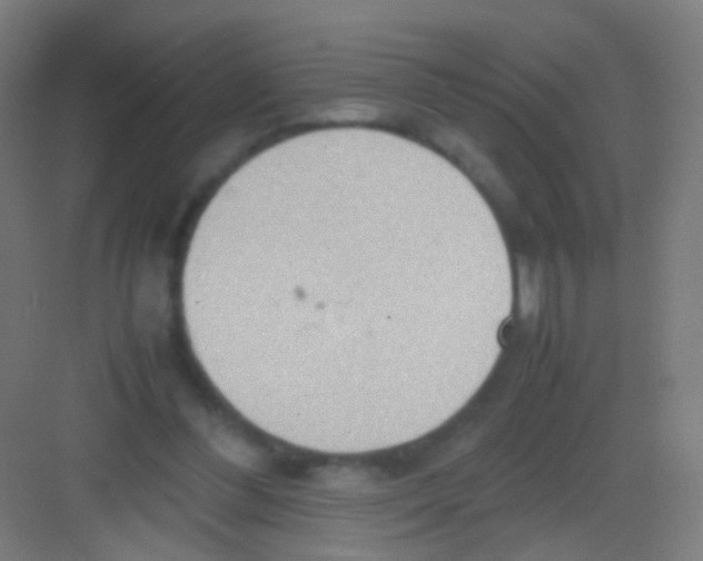 X0000081370300200702082353