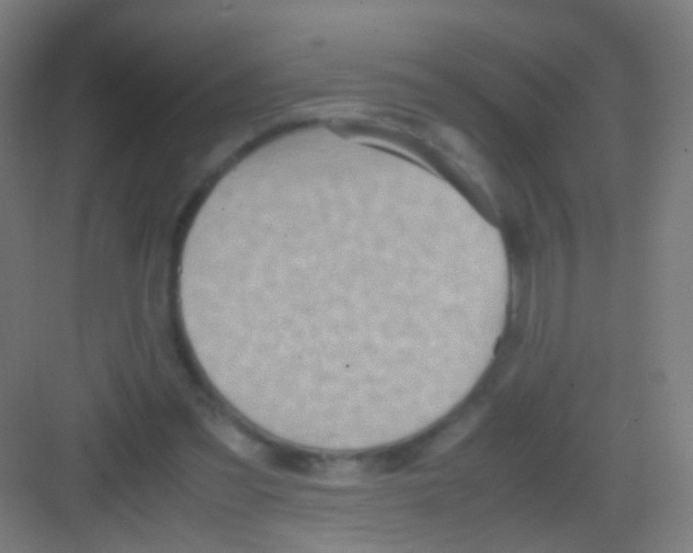 X0000081370301200702082353