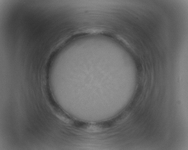 X0000081370303200702082353