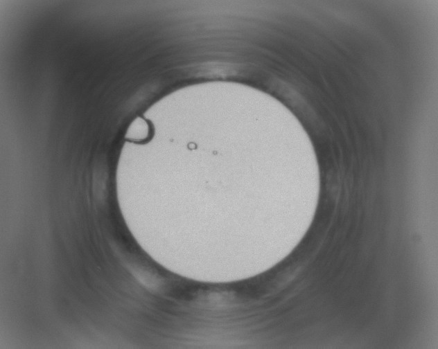 X0000081370304200702082353