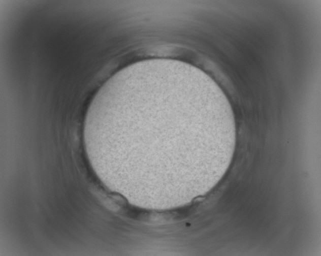 X0000081370305200702082353