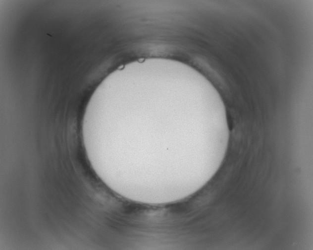 X0000081370306200702082353