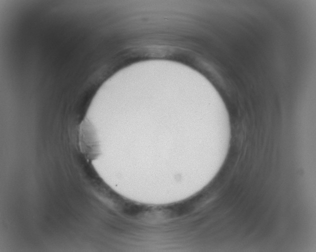 X0000081370307200702082353