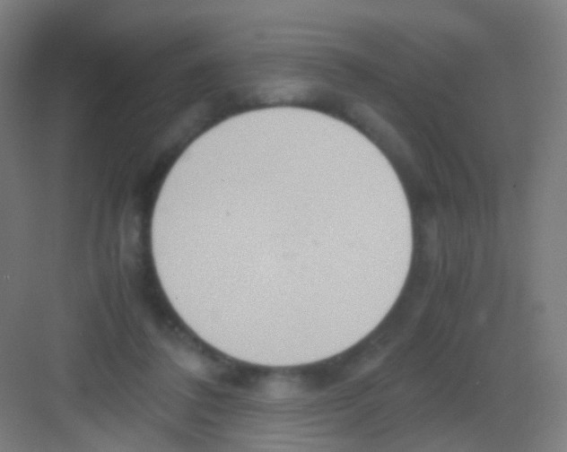 X0000081370308200702082353