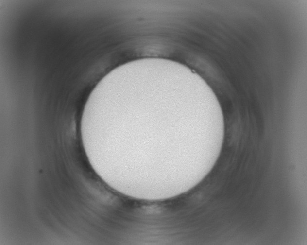 X0000081370310200702082353