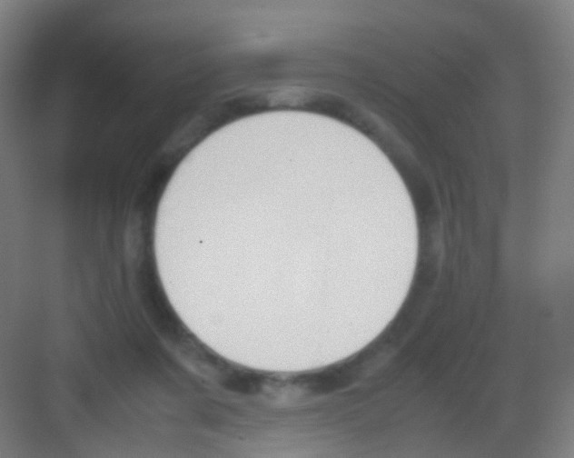 X0000081370311200702082353