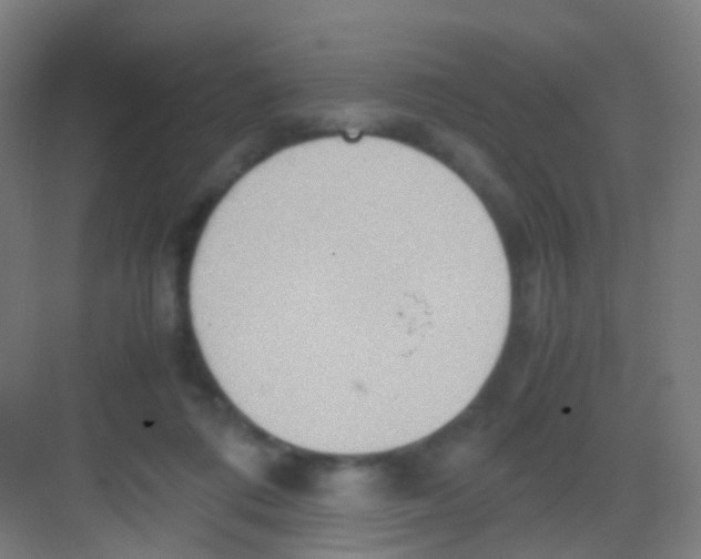 X0000081370312200702082353