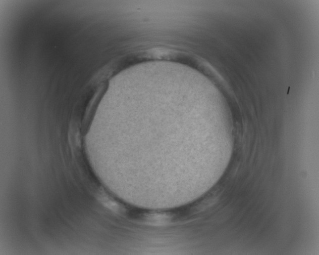 X0000081370313200702082353