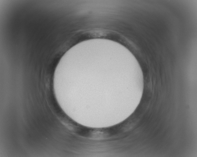 X0000081370315200702082353