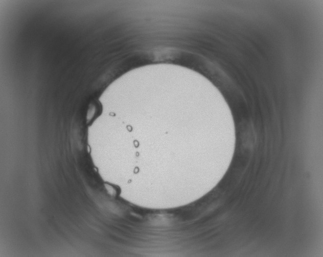 X0000081370316200702082353