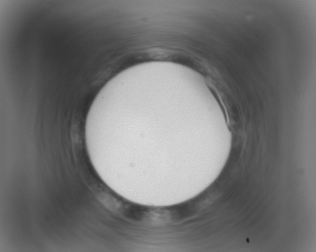 X0000081370317200702082353