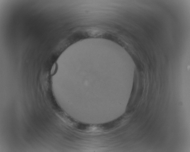 X0000081370319200702082353