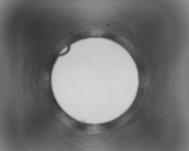 X0000081370321200702082353