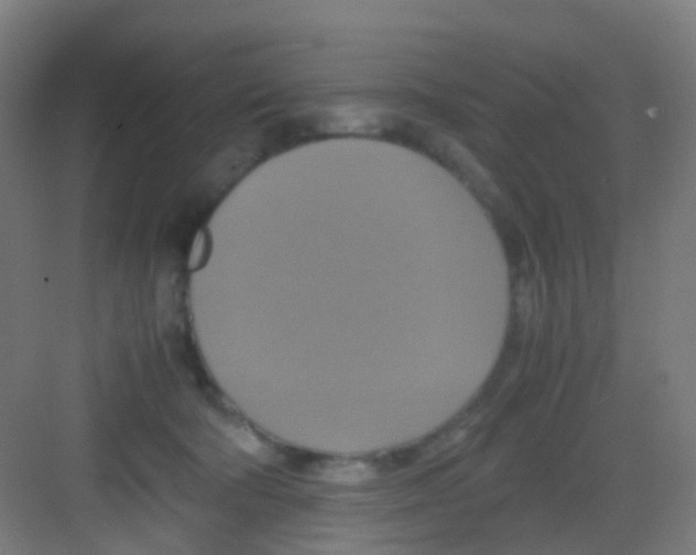 X0000081370322200702082353