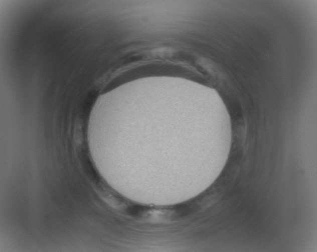 X0000081370323200702082353