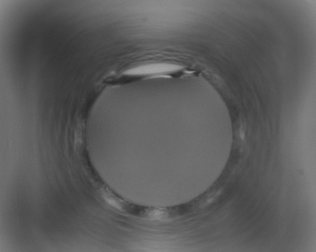 X0000081370325200702082353