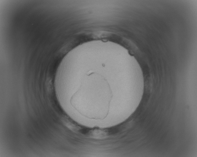 X0000081370327200702082353