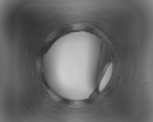 X0000081370329200702082353