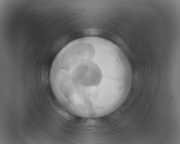 X0000081370330200702082353