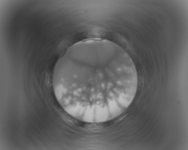 X0000081370331200702082352