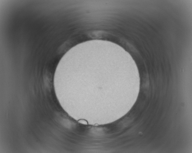 X0000081370332200702082352