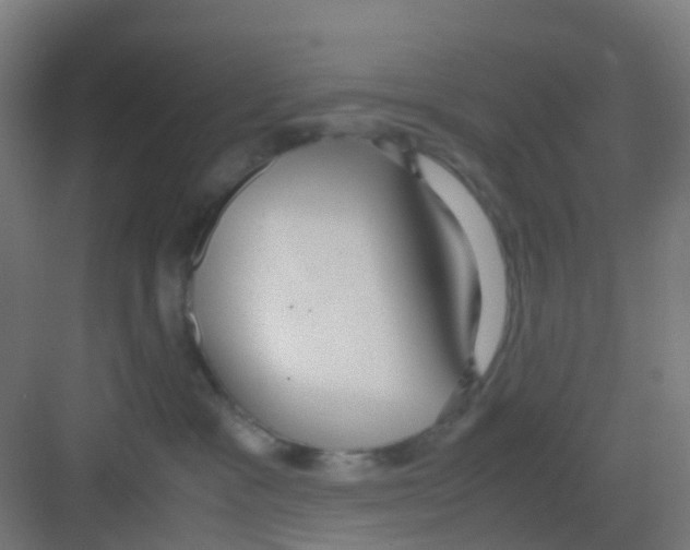 X0000081370333200702082352