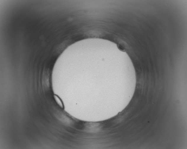 X0000081370334200702082352