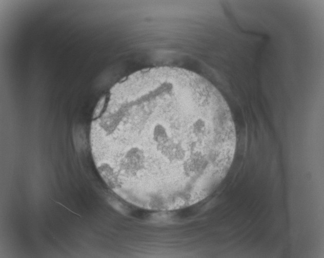 X0000081370335200702082352