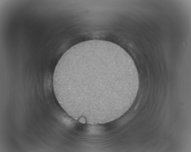 X0000081370336200702082352