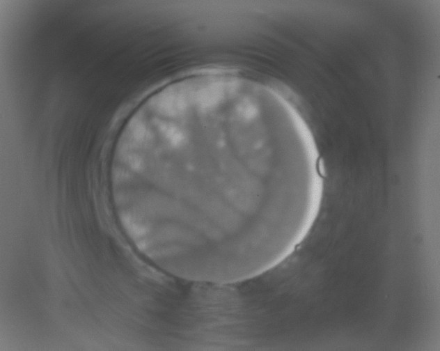 X0000081370337200702082352