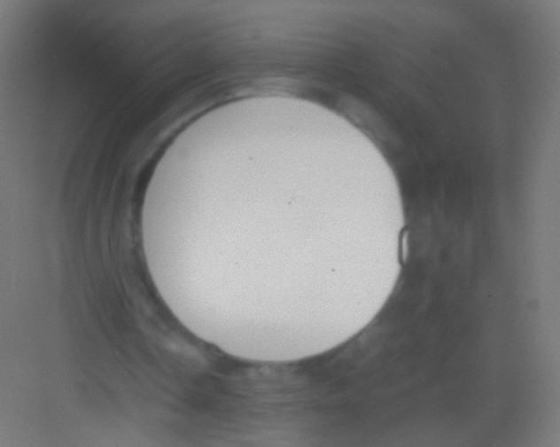 X0000081370338200702082352