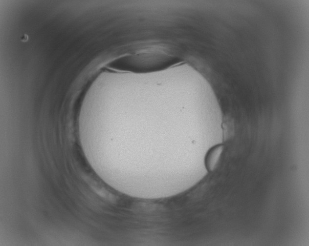 X0000081370339200702082352