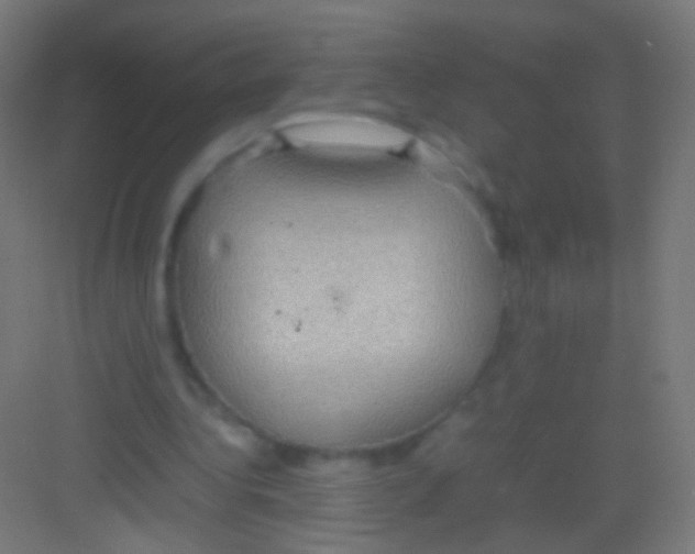 X0000081370340200702082352