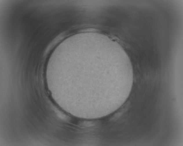 X0000081370341200702082352