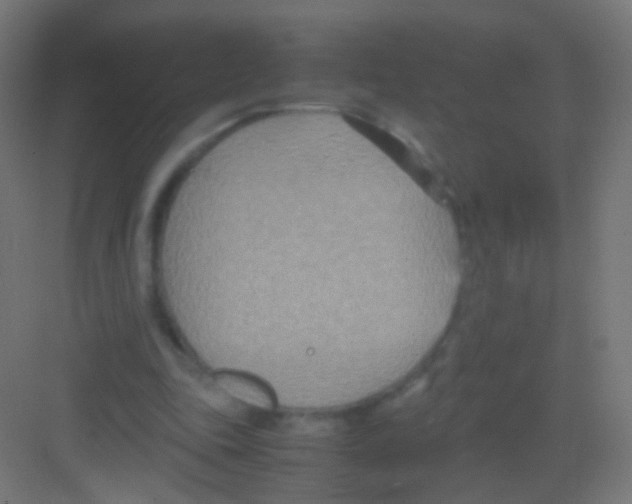 X0000081370343200702082352