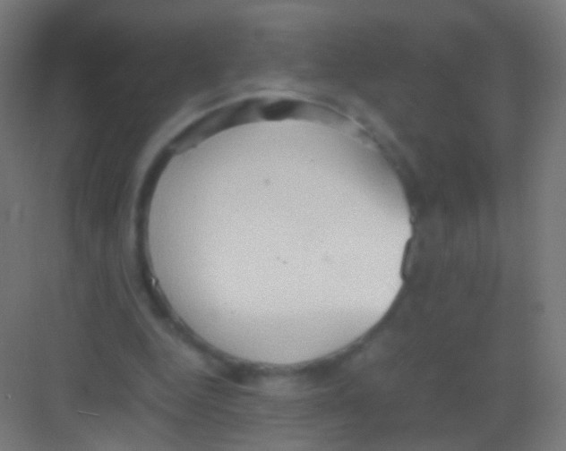 X0000081370344200702082352