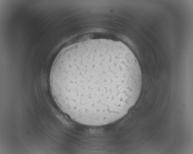 X0000081370345200702082352