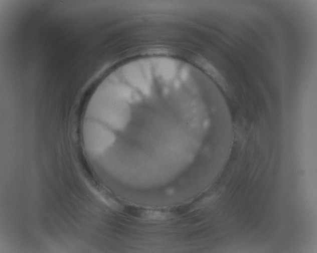 X0000081370347200702082352