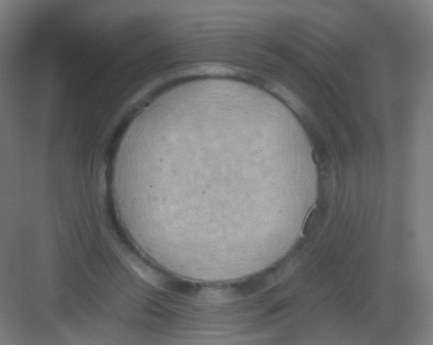 X0000081370350200702082352