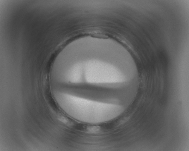 X0000081370355200702082352