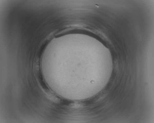 X0000081370356200702082352