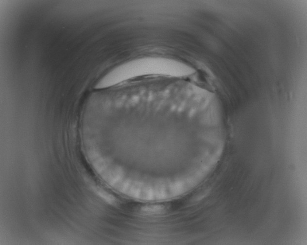 X0000081370357200702082352