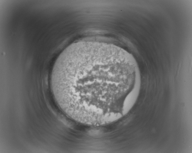 X0000081370358200702082352