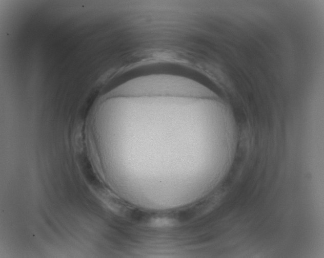 X0000081370360200702082352