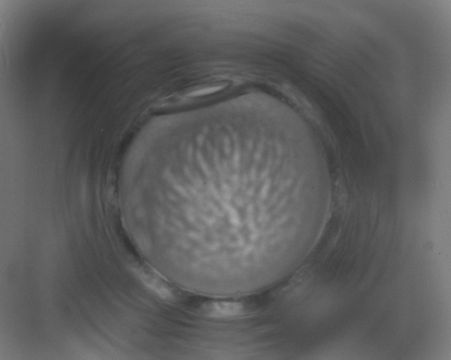 X0000081370361200702082352