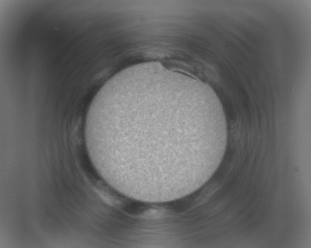 X0000081370364200702082352