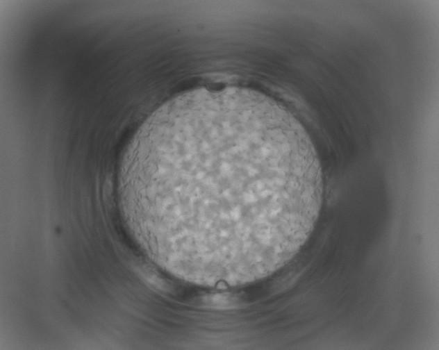 X0000081370365200702082352