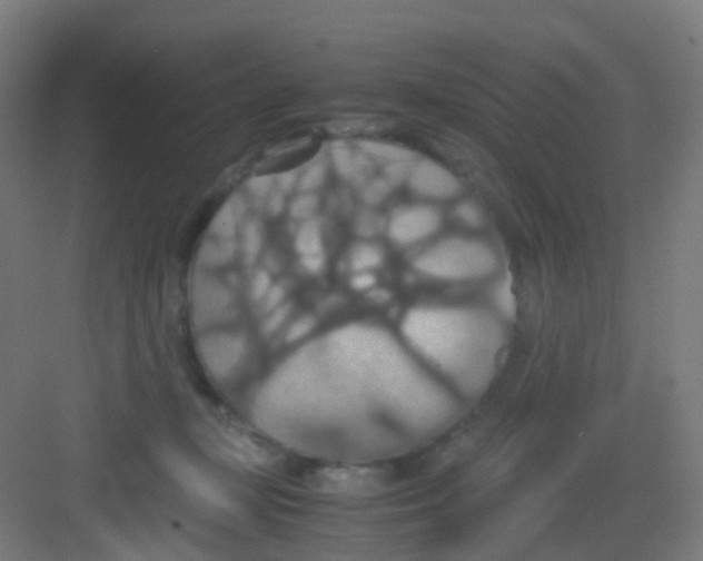 X0000081370367200702082352